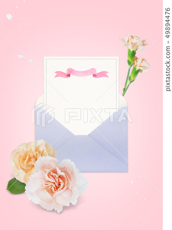 Carnation background image 04 Carnation background image 04 49894476