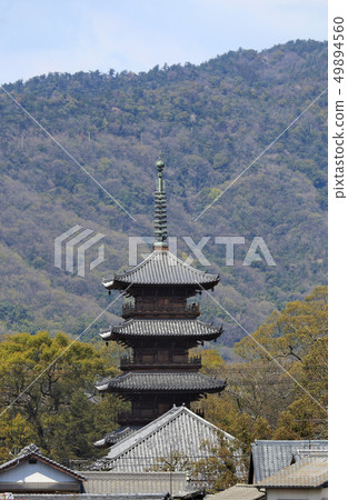 平成大修後的Honzanji五層寶塔 49894560