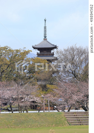 Honzanji Five-storied pagoda after the great restoration of Heisei 49894562