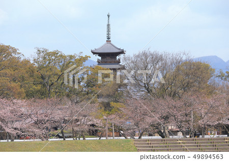 平成大修後的Honzanji五層寶塔 49894563