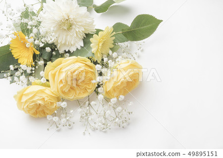 Yellow rose for Father's Day Yellow rose for Father's Day 49895151