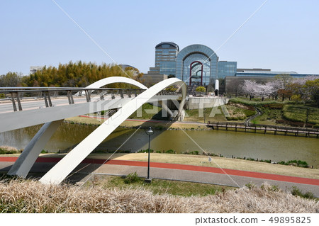 愛知健康廣場的春天櫻花觀賞 愛知健康廣場的春天櫻花觀賞 49895825