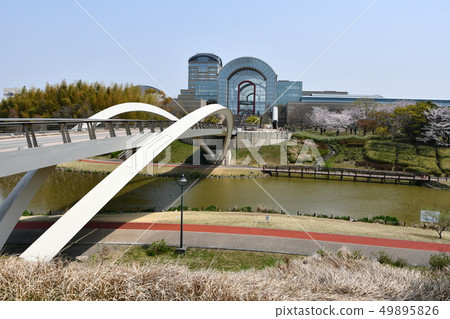 愛知健康廣場的春天櫻花觀賞 49895826