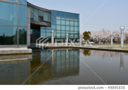 愛知健康廣場的春天櫻花觀賞 49895830