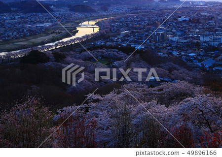 Funaoka城堡廢墟公園在春天 49896166