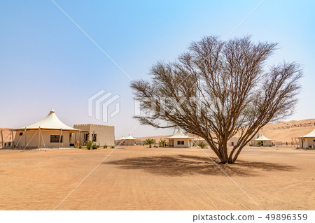 Wahhiba Desert (Oman, Wajiva Sands) 49896359