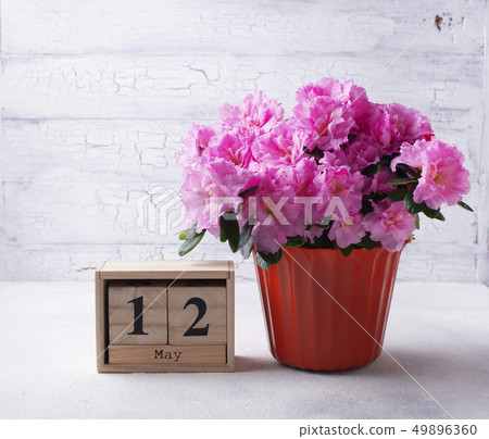 Mothers day concept with calendar and flowers Mothers day concept with calendar and flowers 49896360