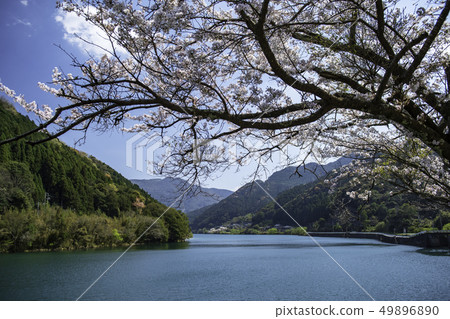 electric train, train, ride 49896890