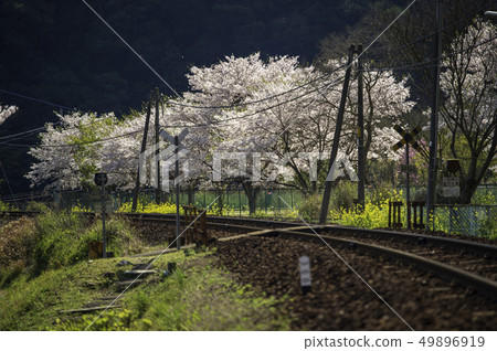 火車 電氣列車 馬車 49896919
