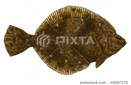 大理石唯一 49897376