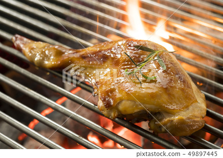 chicken chicken 49897445