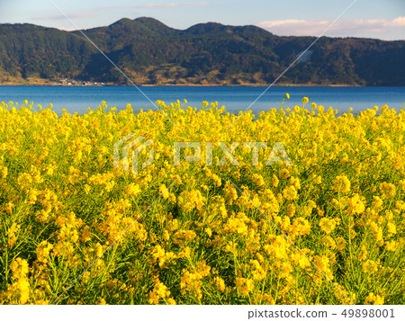 Lake Ikeda Lake Ikeda 49898001