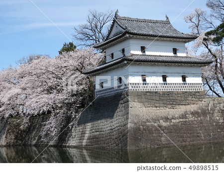 Spring of Shibata castle 49898515