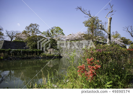 tourist spot tourist spot 49898574
