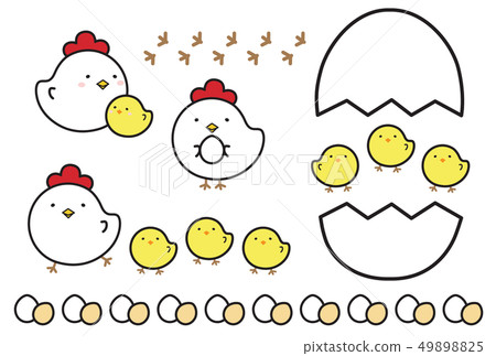 Chicken Chicken 49898825