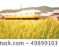 Wheat field and things 49899103
