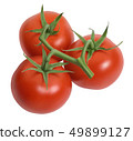 Fresh tomatoes isolated on white 49899127