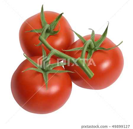 Fresh tomatoes isolated on white Fresh tomatoes isolated on white 49899127
