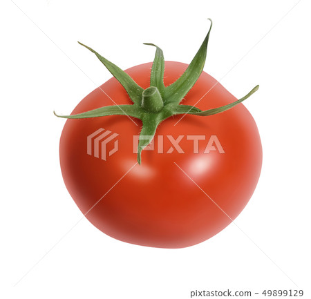 Fresh tomatoes isolated on white Fresh tomatoes isolated on white 49899129