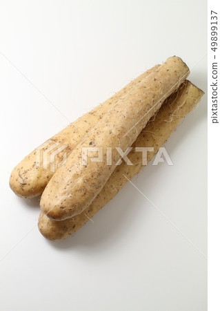 Three long potatoes, white background 49899137