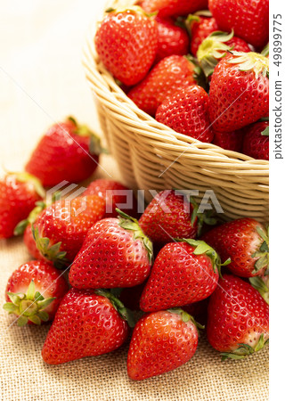 Kagomori碗 Kagomori碗 49899775