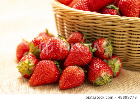 Kagomori碗 Kagomori碗 49899779