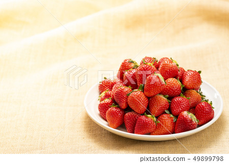 很多草莓 49899798