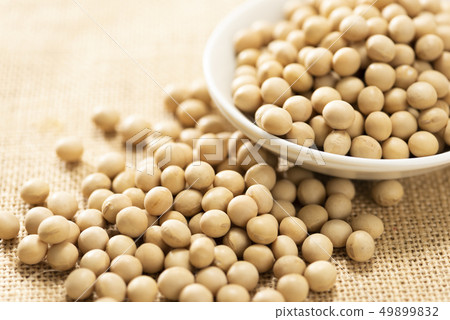 大豆 49899832