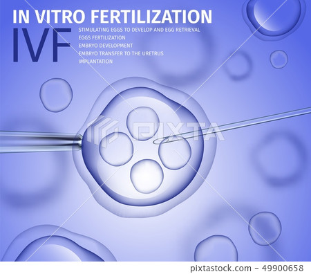 In Vitro Fertilization of Human Female Cell Macro 49900658