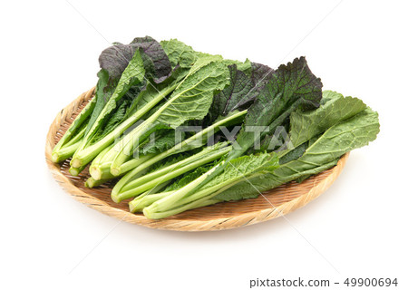 Red leaf mustard Red leaf mustard 49900694
