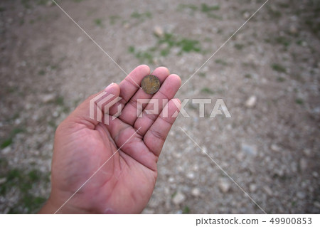 Georgia - Country, Tbilisi, A Helping Hand, Adult, 49900853