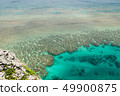 Blue sea Southern country Funa rabbit Banata observatory Coral reef 49900875