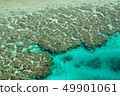 Blue sea Southern country Funa rabbit Banata observatory Coral reef 49901061