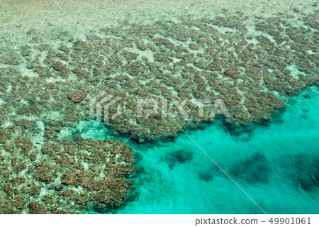 Blue sea Southern country Funa rabbit Banata observatory Coral reef Blue sea Southern country Funa rabbit Banata observatory Coral reef 49901061