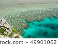 Blue sea Southern country Funa rabbit Banata observatory Coral reef 49901062