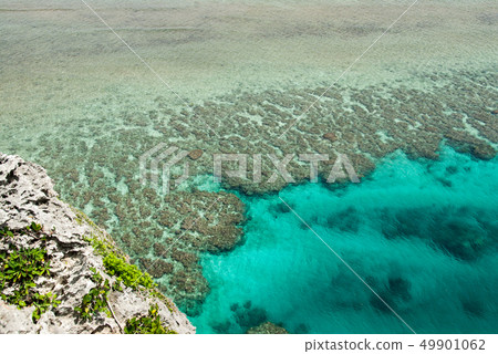 Blue sea Southern country Funa rabbit Banata observatory Coral reef 49901062