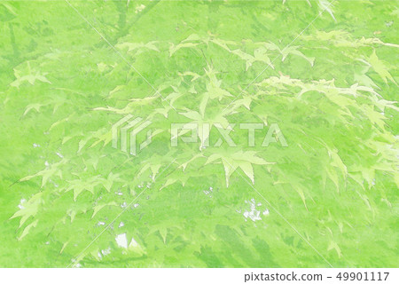 Background watercolor fresh green 49901117