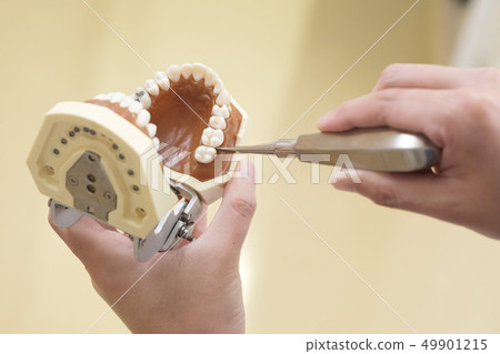 Extraction image Extraction image 49901215