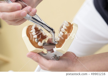 Extraction image 49901216