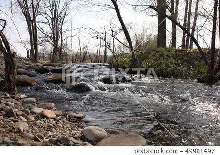 Upstream _ Rokka Forest Upstream _ Rokka Forest 49901497