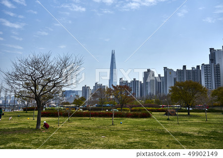 Springtime scenery of spring and spring of Hangang Park and Hangang Park Springtime scenery of spring and spring of Hangang Park and Hangang Park 49902149