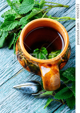 Tea with green fresh melissa leaves Tea with green fresh melissa leaves 49902672