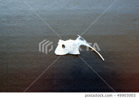 The bone of the coffin in the coffin 49903003