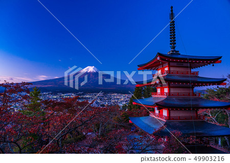 "Yamanashi Prefecture" Cherry blossoms in the autumn leaves of Shin-Kurayama Asama Park, Chu Ping Pagoda and New Snow Fuji, before dawn 49903216