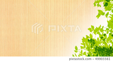 Leaky Leaf Texture Background Material 49903381