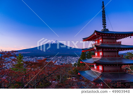 "Yamanashi Prefecture" Cherry blossoms in the autumn leaves of Shin-Kurayama Asama Park, Chu Ping Pagoda and New Snow Fuji, dawn 49903948
