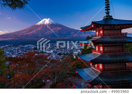 "Yamanashi Prefecture" Cherry blossoms in the autumn leaves of Shin-Kurayama Asama Park, Chu Ping Pagoda and New Snow Fuji, dawn "Yamanashi Prefecture" Cherry blossoms in the autumn leaves of Shin-Kurayama Asama Park, Chu Ping Pagoda and New Snow Fuji, dawn 49903960
