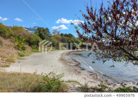 Beautiful View To The Sea Coast In Pomorie, 49903976