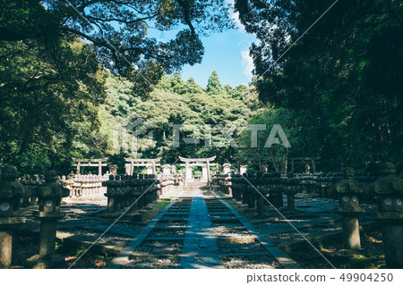 Tokoji Temple 49904250