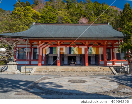 主要的神社櫻花盛開的Kurama-ji寺 49904296
